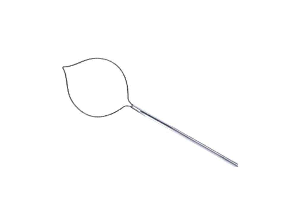 Asa de polipectomía EndoAB