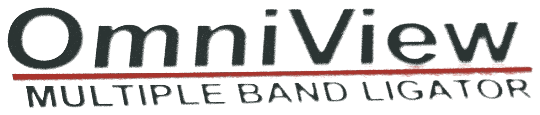 OmniView